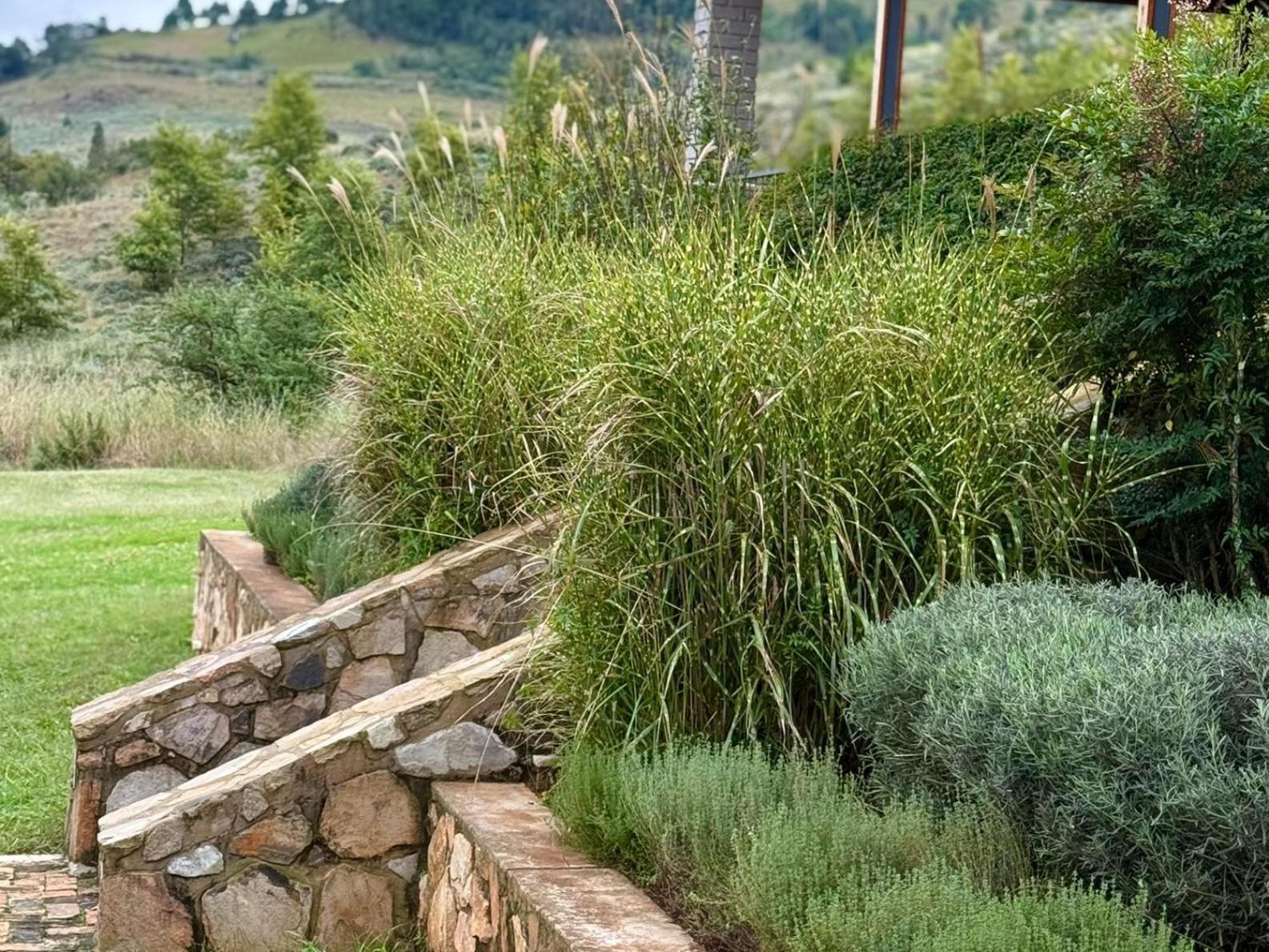 Stone Creek Mountain Lodge Dullstroom Eksteriør billede